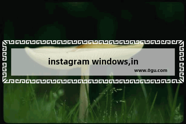 instagram windows,instagram pc客户端