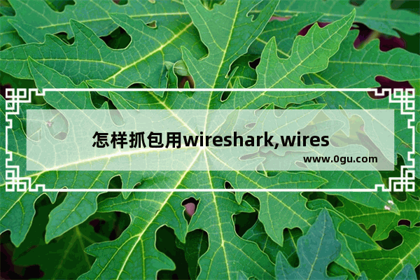 怎样抓包用wireshark,wireshark抓包工具详细说明及操作使用