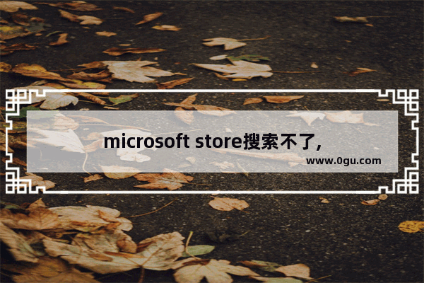 microsoft store搜索不了,windows10应用商店找不到了