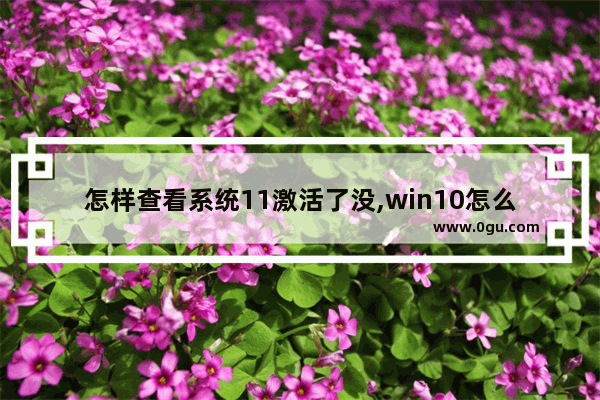 怎样查看系统11激活了没,win10怎么查看系统激活状态