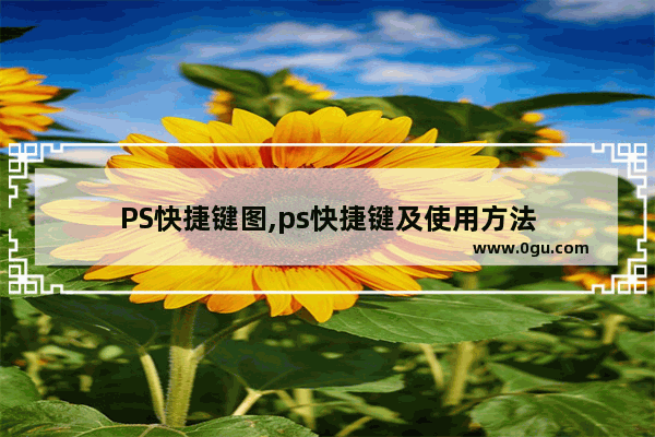 PS快捷键图,ps快捷键及使用方法