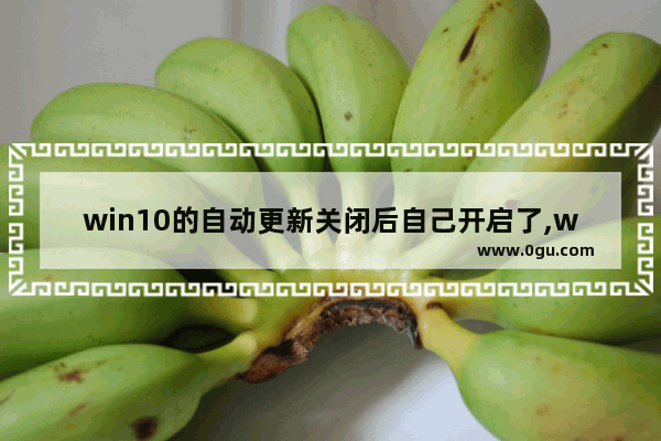 win10的自动更新关闭后自己开启了,win10更新关闭了还自动打开