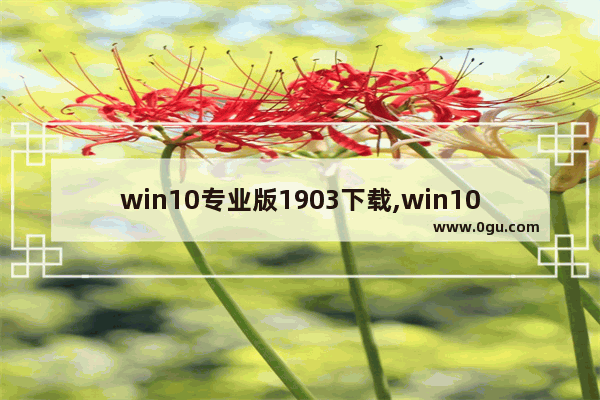 win10专业版1903下载,win101909镜像下载