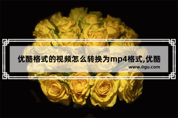 优酷格式的视频怎么转换为mp4格式,优酷视频转换mp4格式用什么转换器