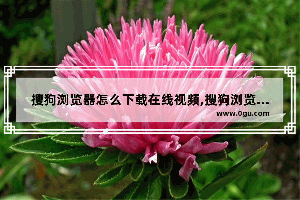 搜狗浏览器怎么下载在线视频,搜狗浏览器如何下载播放的视频