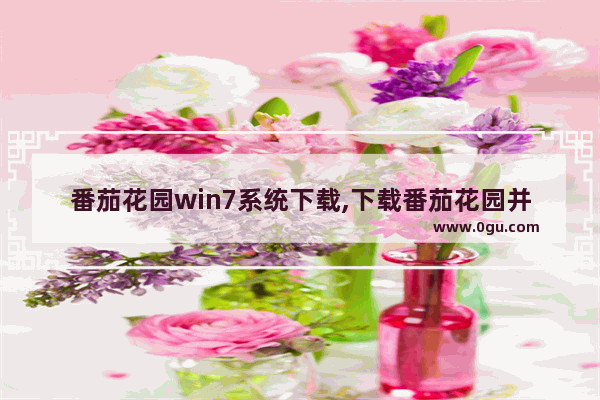 番茄花园win7系统下载,下载番茄花园并安装