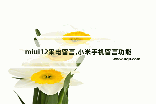 miui12来电留言,小米手机留言功能