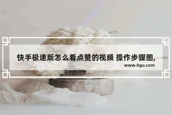 快手极速版怎么看点赞的视频 操作步骤图,快手极速版怎么看点赞的视频