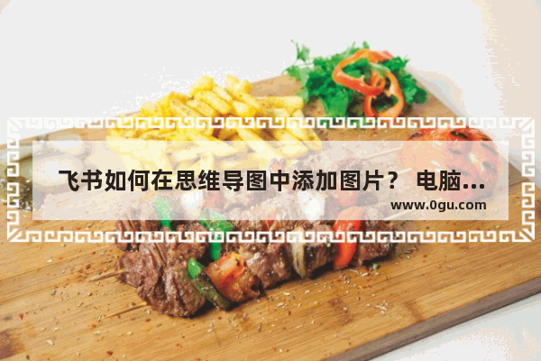 飞书如何在思维导图中添加图片？ 电脑版飞书在思维导图中添加图片的方法