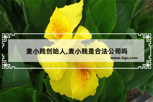 麦小贱创始人,麦小贱是合法公司吗