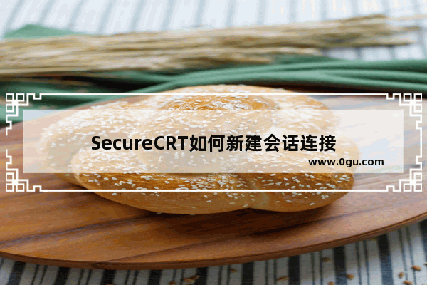 SecureCRT如何新建会话连接