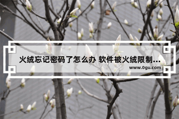 火绒忘记密码了怎么办 软件被火绒限制了且不知道安全密码的解决方法