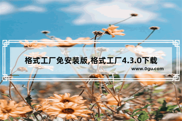 格式工厂免安装版,格式工厂4.3.0下载