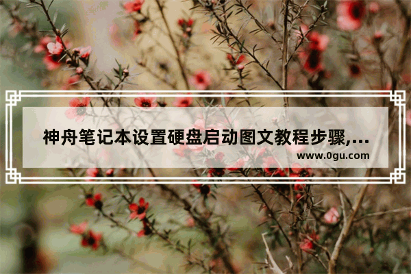 神舟笔记本设置硬盘启动图文教程步骤,神舟笔记本设置硬盘启动图文教程下载