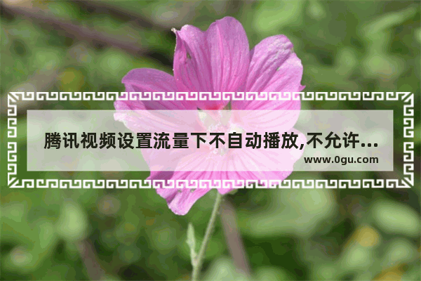 腾讯视频设置流量下不自动播放,不允许腾讯视频用流量怎么设置