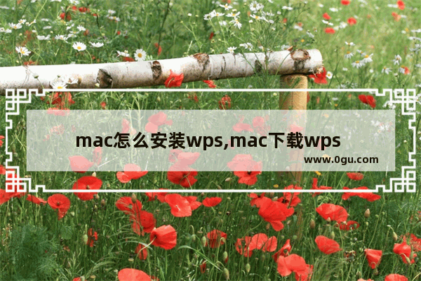 mac怎么安装wps,mac下载wps office