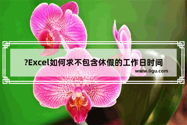?Excel如何求不包含休假的工作日时间 Excel表格中排除休假计算工作日天数的方法教程