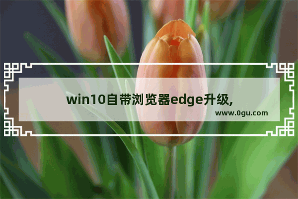 win10自带浏览器edge升级,