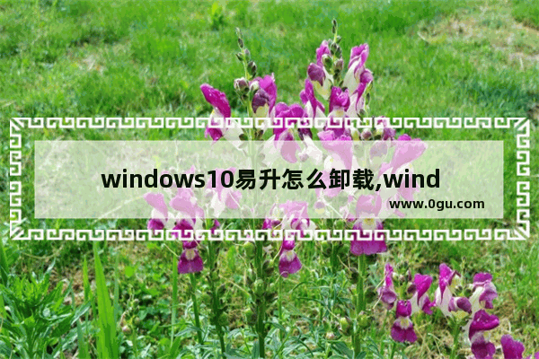 windows10易升怎么卸载,windows易升怎么卸载