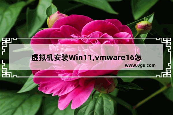 虚拟机安装Win11,vmware16怎么安装win10