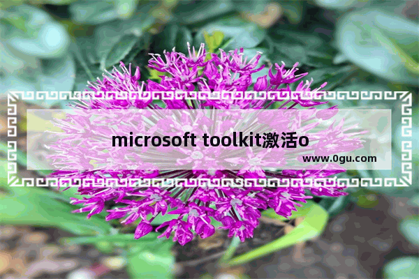 microsoft toolkit激活office2010,microsoft toolkit怎么激活2013