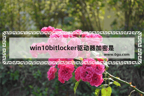 win10bitlocker驱动器加密是什么意思,win10bitlocker取消加密方法