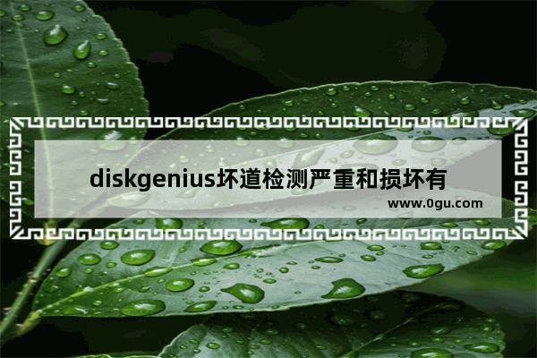 diskgenius坏道检测严重和损坏有什么区别,hdtune和diskgenius哪个准确
