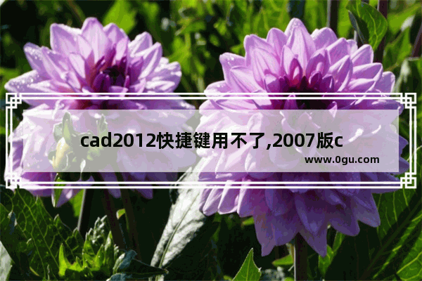 cad2012快捷键用不了,2007版cad快捷键不能用了怎么办