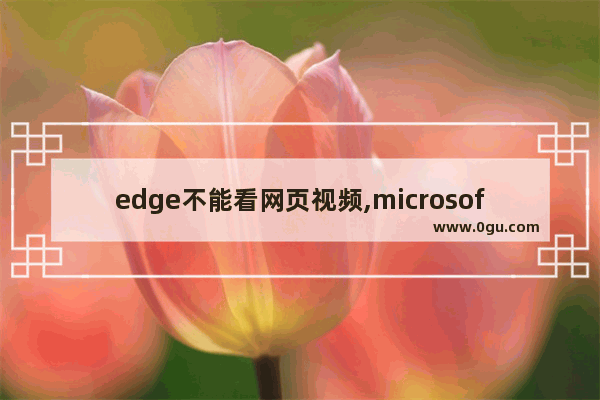 edge不能看网页视频,microsoft edge看不了视频