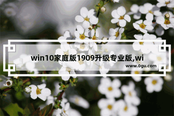 win10家庭版1909升级专业版,win10最新版本1909下载