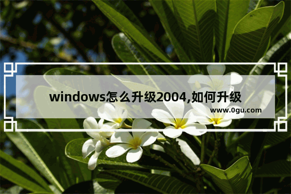 windows怎么升级2004,如何升级到windows10 2004