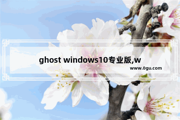 ghost windows10专业版,win10纯净版ghost下载
