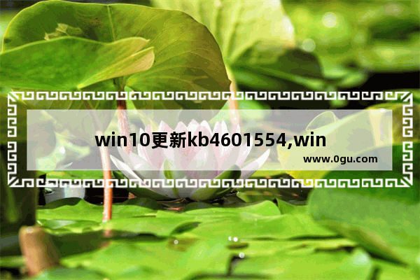 win10更新kb4601554,win10更新kb4592438