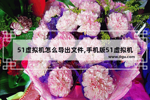 51虚拟机怎么导出文件,手机版51虚拟机怎么导入文件