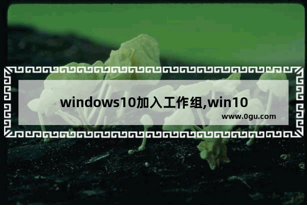 windows10加入工作组,win10专业版加入工作组