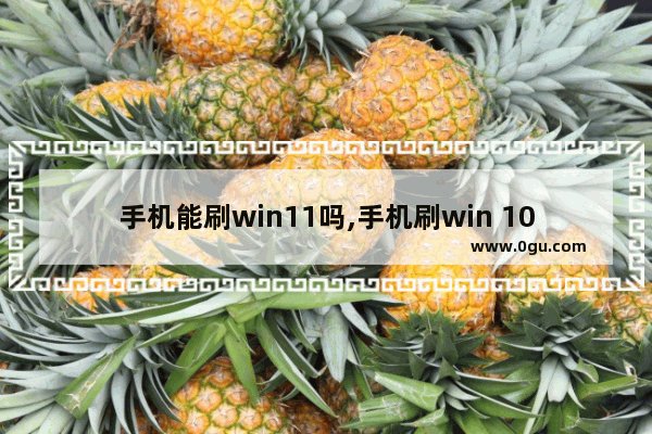 手机能刷win11吗,手机刷win 10系统