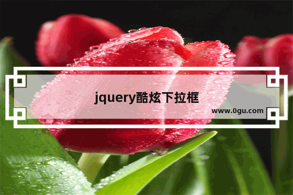 jquery酷炫下拉框
