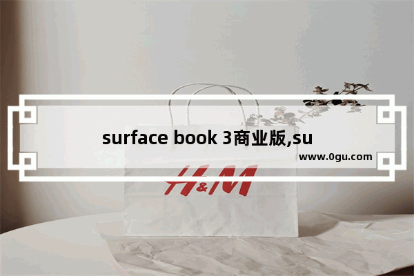 surface book 3商业版,surface book3商用版与家用版