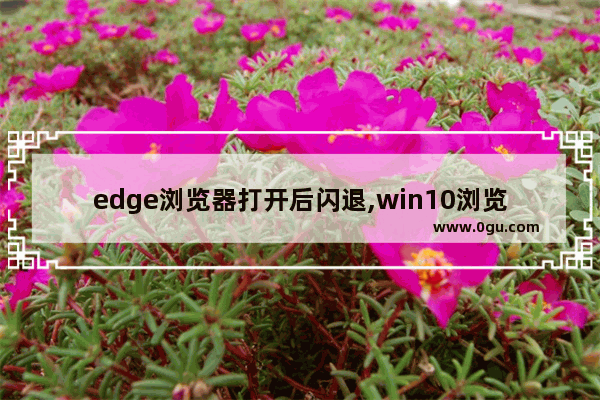edge浏览器打开后闪退,win10浏览器edge闪退