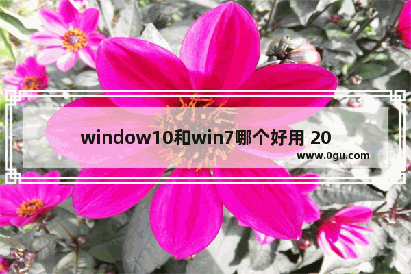window10和win7哪个好用 2020,2020用win7还是win10