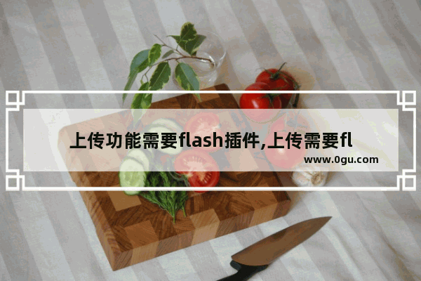 上传功能需要flash插件,上传需要flash插件支持