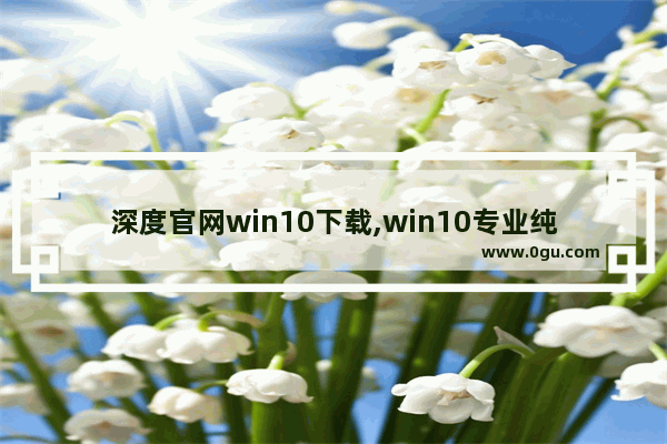 深度官网win10下载,win10专业纯净版