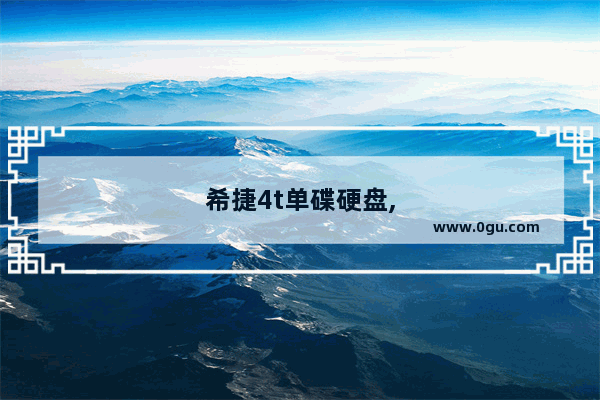 希捷4t单碟硬盘,