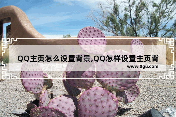 QQ主页怎么设置背景,QQ怎样设置主页背景