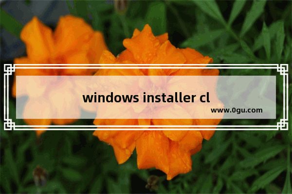 windows installer clean up使用,Windows Installer CleanUp