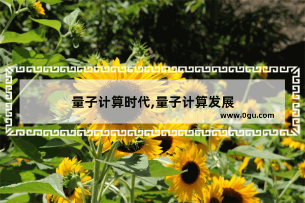 量子计算时代,量子计算发展