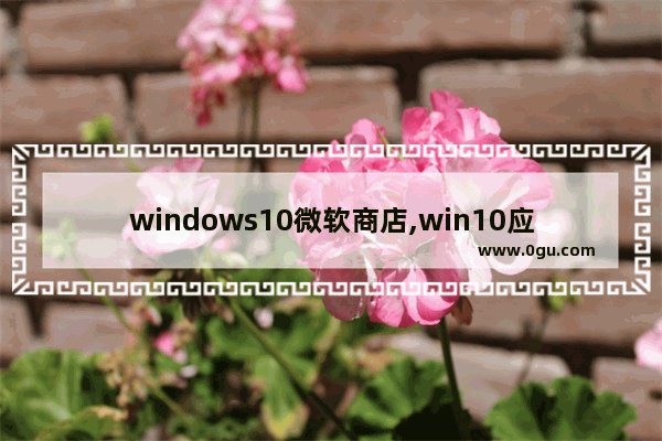 windows10微软商店,win10应用商店软件格式