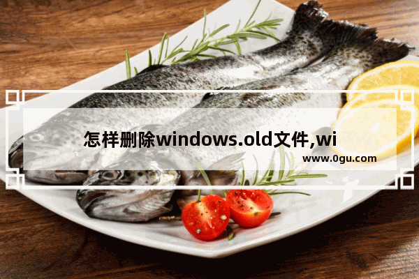 怎样删除windows.old文件,win10windows old文件夹可以删除吗