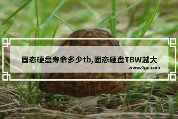 固态硬盘寿命多少tb,固态硬盘TBW越大越好吗