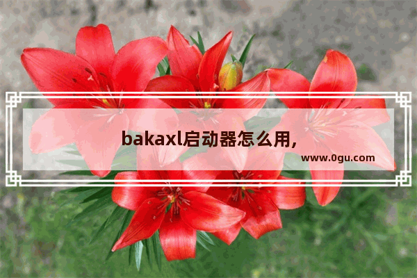 bakaxl启动器怎么用,